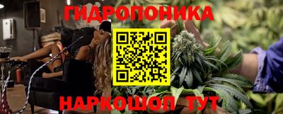Альфа ПВП Новокубанск