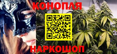 ECSTASY Новозыбков