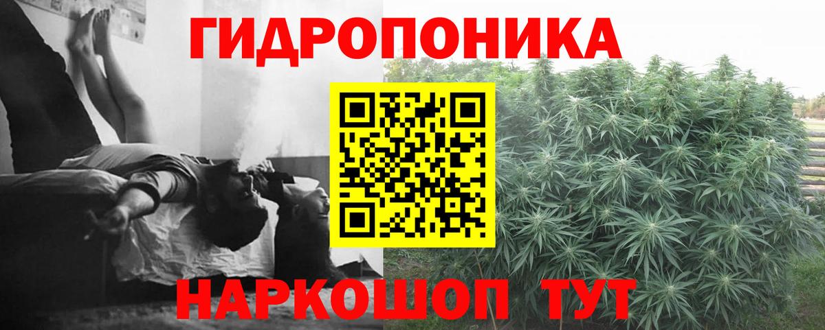 Конопля SATIVA & INDICA Сургут